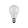 Scharnberger 40714 Allgebrauchslampe B 60x105mm E27 24V 60W matt