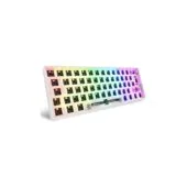 Sharkoon Gaming Tastatur Skiller SGK50S4 Gen2 barebone weiß
