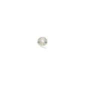 Synergy 21 LED Flex Strip 3528 - 120 NW DC24V 48W IP20