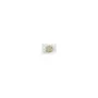 Synergy 21 LED Retrofit G4 24x SMD 5050 ww