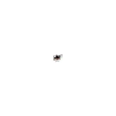 TARGUS PRIVACY SCREEN 24 IN