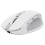 Trust Ozaa Compact Wireless Mouse White