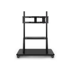 ViewSonic VB-STND-001-2C - Rollwagen für bis zu 86 Zoll Displays