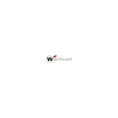 WGT Patch Management 3 Year 101 to 250 licenses