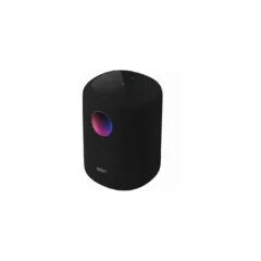 WiiM LPWISND Sound Smart Speaker, schwarz