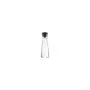 WMF Basic Wasserkaraffe 1.5l