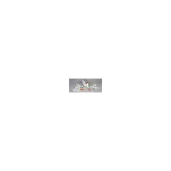 Zebra Z-Band Direct - Polypropylen (PP) - permanenter Acrylklebstoff