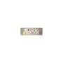 Zebra Z-Ultimate 3000T - Polyester - glossy - permanent adhesive - silver - 76 x 76 mm 11160 label(s
