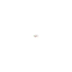 ZEBRA Zebra Z-Band Direct, infant,