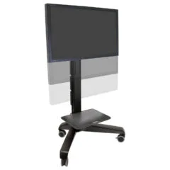 ZUB ERGOTRON Neo-Flex Mobile MediaCenter VHD