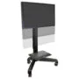 ZUB ERGOTRON Neo-Flex Mobile MediaCenter VHD
