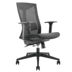 Lumivida Office Chair Ergonomic Mesh Lumbar Support Adjustable Seat/Armrest Black CH05-7