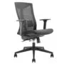 Lumivida Office Chair Ergonomic Mesh Lumbar Support Adjustable Seat/Armrest Black CH05-7