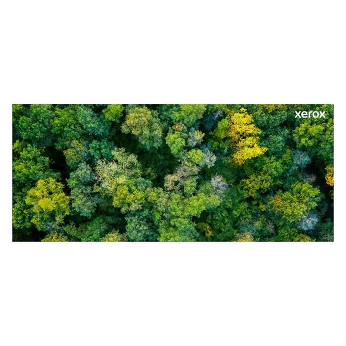 Xerox 106R03760 toner cartridge — image 13