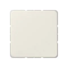 Jung 594-0 ST Blind cover