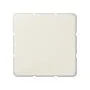 Jung 594-0 ST Blind cover