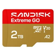 SanDisk Extreme GO