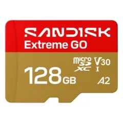 SanDisk Extreme GO