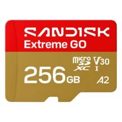 SanDisk Extreme GO