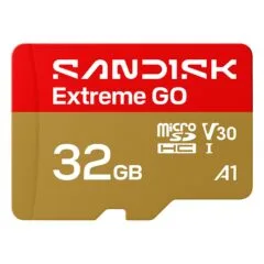 SanDisk Extreme GO