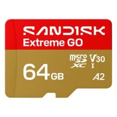 SanDisk Extreme GO