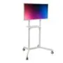 Peerless mobile trolley TRVT-FLIP2