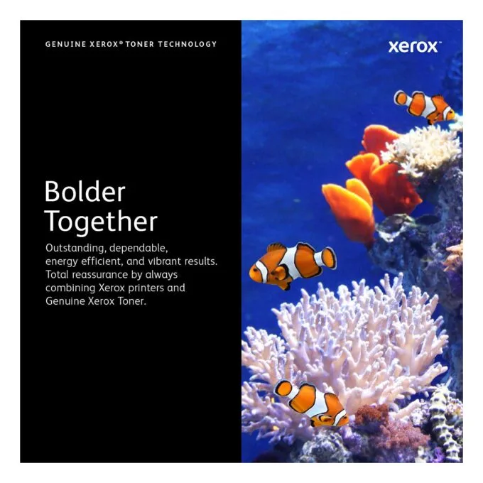 Xerox 108R01484 toner cartridge — image 11