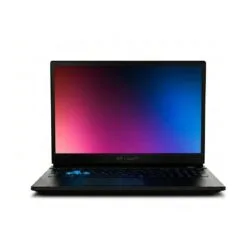 Medion Erazer Deputy 15 P1 Core7 250H/16GB/1TBSSD/RTX5060/W11 Home