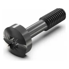 SCHROFF neck screw with cross-slot/slot - HALSSCHR.M.KR.M2.5 SCHW100S