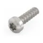 SCHROFF lens head screw with Torx - LIKOSCHR-TORX.2.5X9.3 100ST