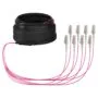 EFB Elektronik O8322S20OM4 InfiniBand/fibre optic cable