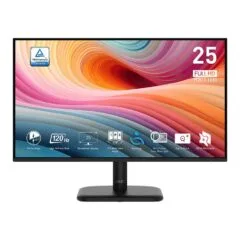 MSI PRO MP251L E2 computer monitor