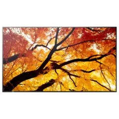 Sharp MultiSync M322 Digital Signage Display 80 cm 32 inches