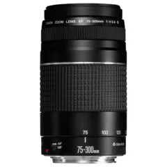 Canon 6473A015 camera lens
