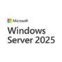 Microsoft Windows Server 2025 Standard