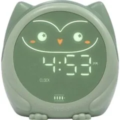 Cloud B Owlie