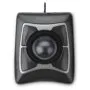 Kensington Expert mouse