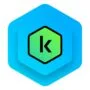 Kaspersky Standard