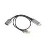 Lanberg HDMI adapter - Displayport 4K 20cm silver