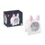 Janod Rabbit Wooden Treasurer