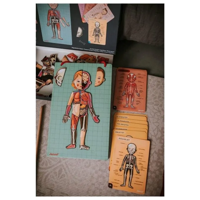 Janod Jigsaw Magnetic Body of Man J05491 — image 14
