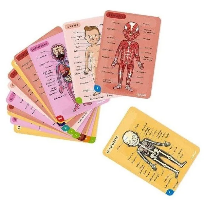Janod Jigsaw Magnetic Body of Man J05491 — image 7