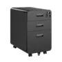 Lumivida File Cabinet Mobile with 3 Lockable Drawers CAB03-3
