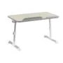 Lumivida Computer Tray Desk Multi-Purpose Foldable Ergonomic LPD01-6