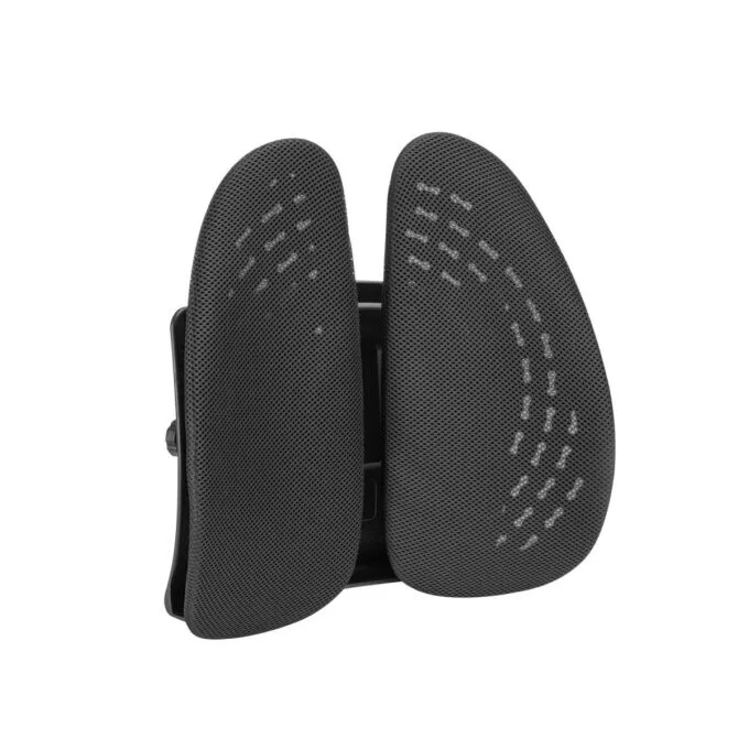 Lumivida Ergonomic Lumbar Support Cushion Ergonomic with Breathable Mesh Cover RLC03-1 — image 1