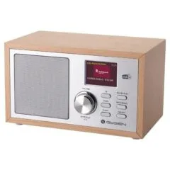 GoGEN DAB620BTCS