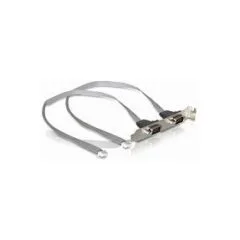 DeLOCK Slot bracket 2 x COM port (2 mm pitch) serial cable
