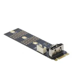 Delock Adapter M.2 Key B Plug to SATA 7 Pin Vertical
