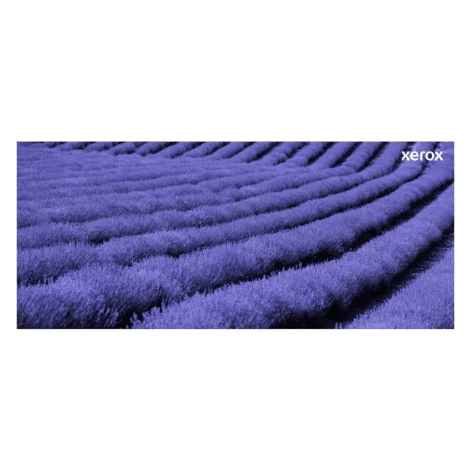 Xerox 006R04619 toner cartridge — image 14