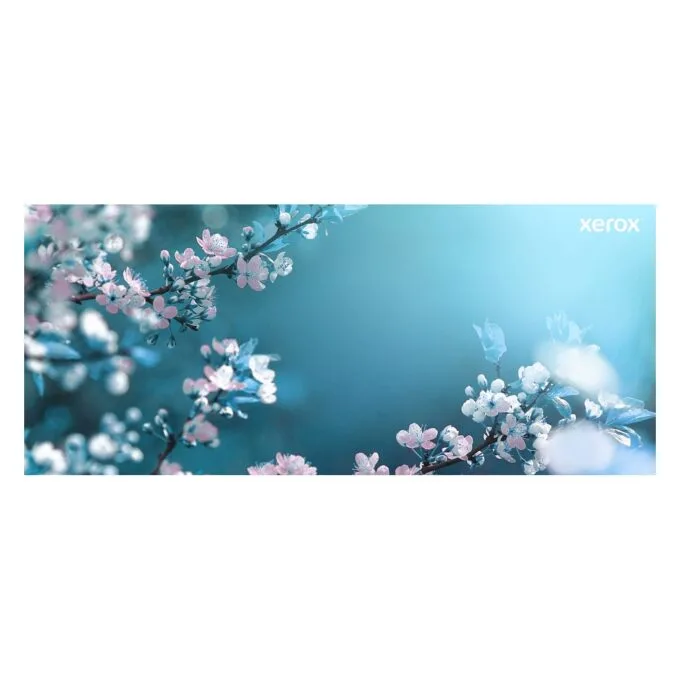 Xerox 006R04384 toner cartridge — image 12